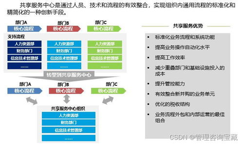 集团公司人力资源共享服务中心建设方案